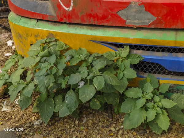 CTP_Day 1_Saad_02_008