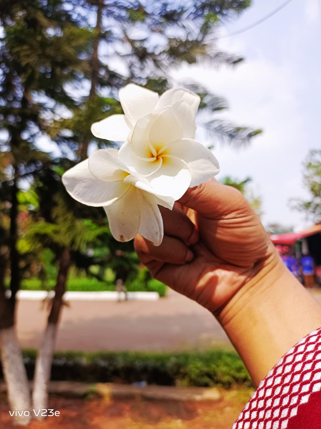 #TravelVibes #vivoV60Lite  #TravelPortraitSoPro #AIFourSeasonPortrait #vivoBangladesh