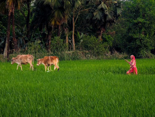 The verdant guardian.