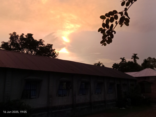 The beauty of nature