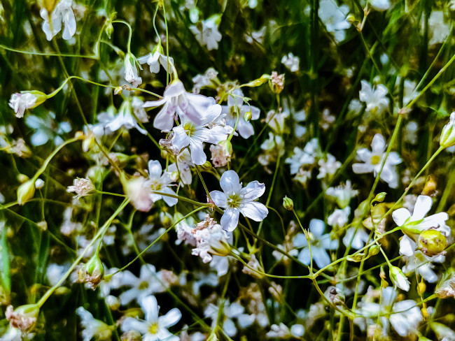 The Little Things In Life