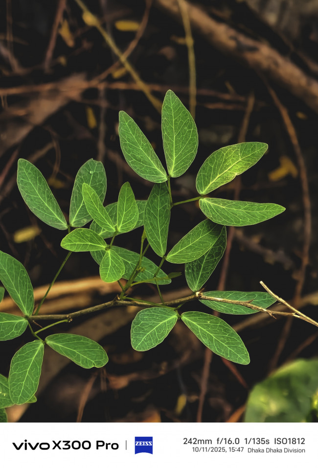 I carved a clean structure out of a chaotic background.
