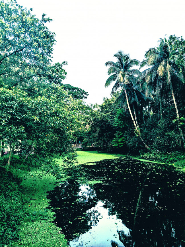 Exibition Image