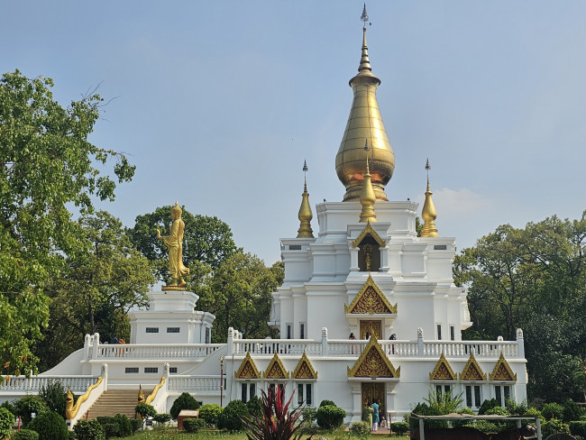 Golden serenity shines bright – a temple where peace, faith, and timeless beauty meet.
