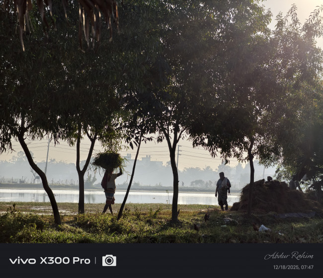 জীবন থেকে নেওয়া