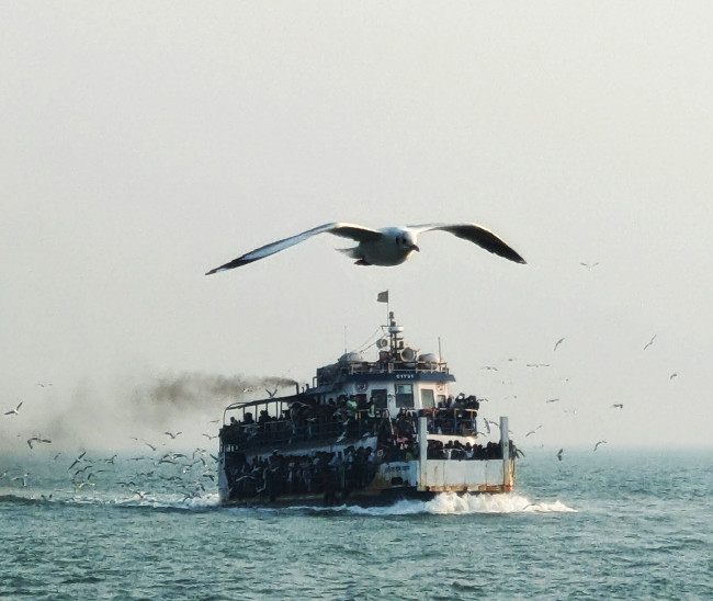 "মুক্ত ডানায় আকাশ ছোয়া"
