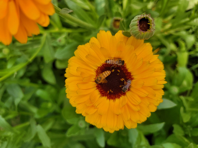 Sweet as honey...🐝