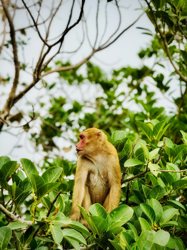 #TravelVibes #vivoV60Lite #TravelPortraitSoPro #AIFourSeasonPortrait #vivoBangladesh