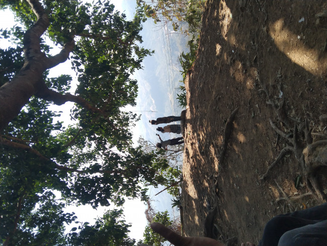 Wind Change