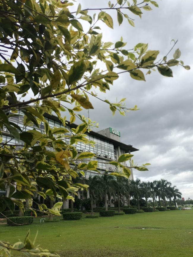 A little bit of green and yellow to brighten the grey day.